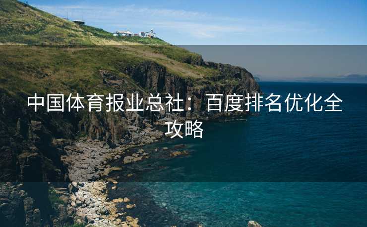 中国体育报业总社：百度排名优化全攻略