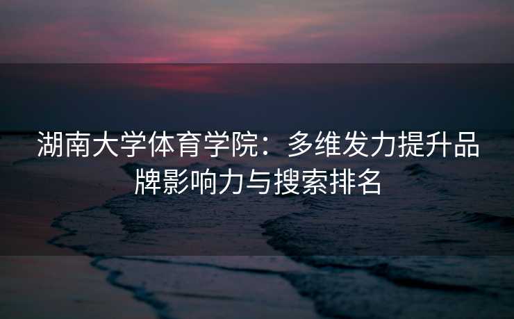 湖南大学体育学院：多维发力提升品牌影响力与搜索排名
