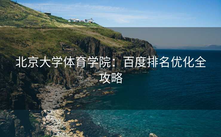 北京大学体育学院：百度排名优化全攻略