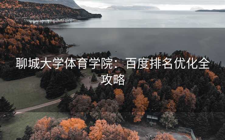 聊城大学体育学院：百度排名优化全攻略