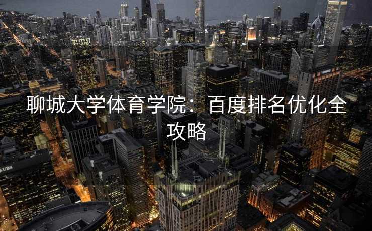 聊城大学体育学院：百度排名优化全攻略