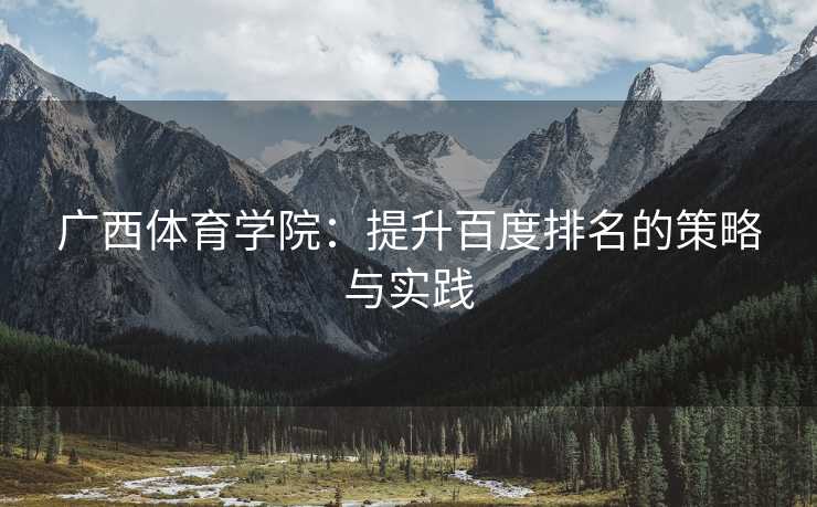 广西体育学院：提升百度排名的策略与实践