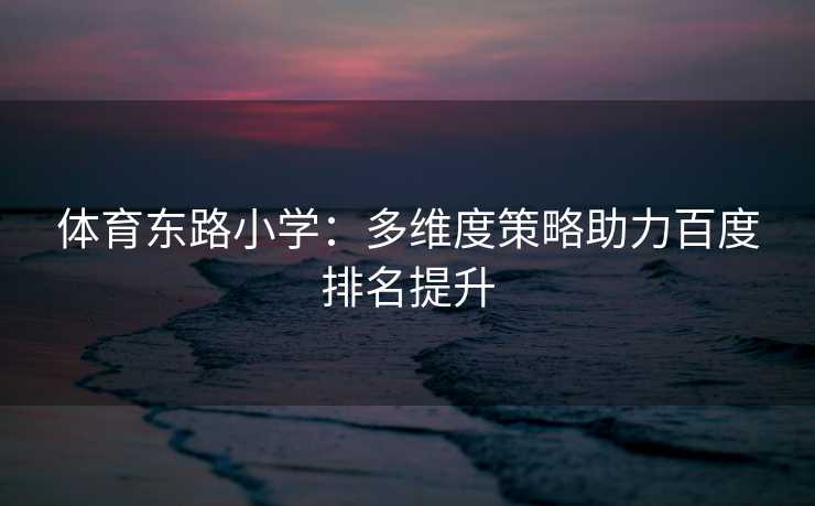 体育东路小学：多维度策略助力百度排名提升