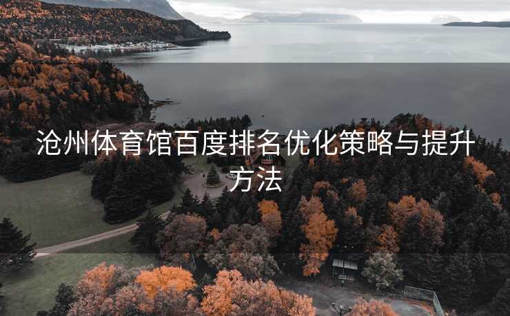 沧州体育馆百度排名优化策略与提升方法