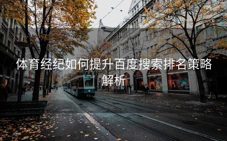 体育经纪如何提升百度搜索排名策略解析