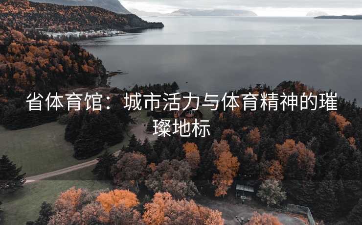 省体育馆：城市活力与体育精神的璀璨地标