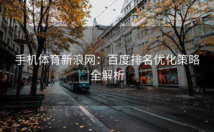 手机体育新浪网：百度排名优化策略全解析