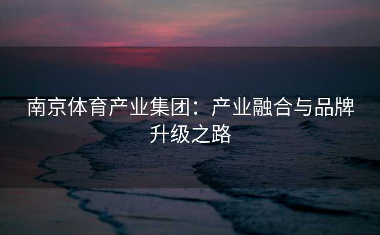 南京体育产业集团：产业融合与品牌升级之路