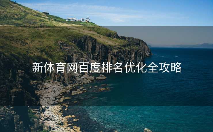 新体育网百度排名优化全攻略