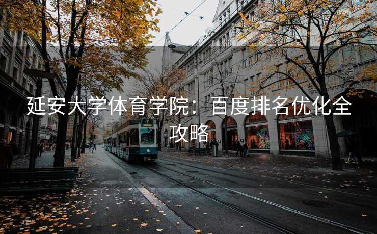 延安大学体育学院：百度排名优化全攻略