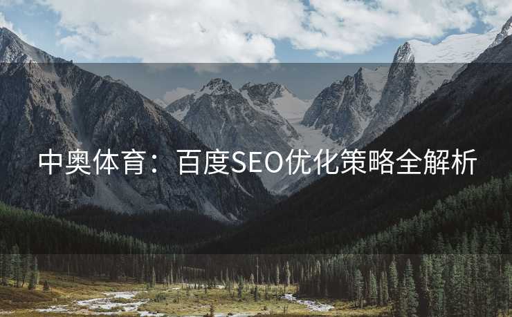 中奥体育：百度SEO优化策略全解析