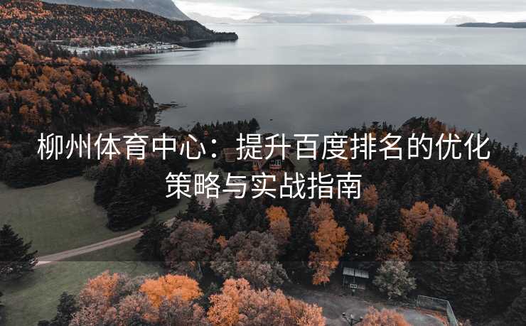 柳州体育中心：提升百度排名的优化策略与实战指南