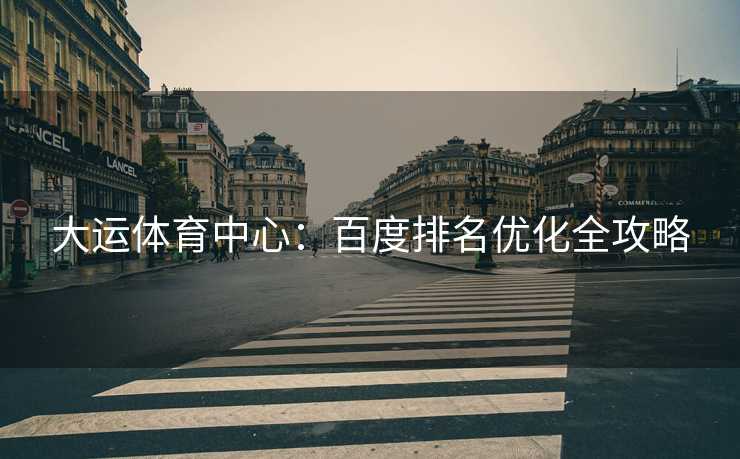 大运体育中心：百度排名优化全攻略