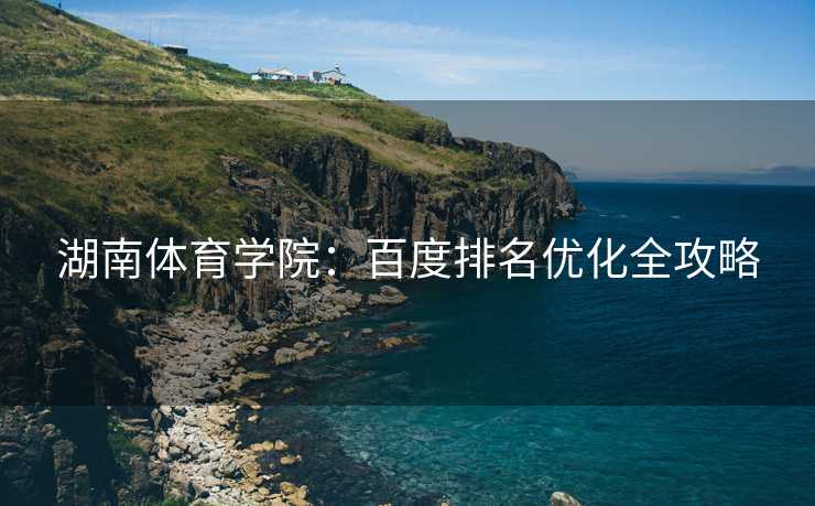 湖南体育学院：百度排名优化全攻略