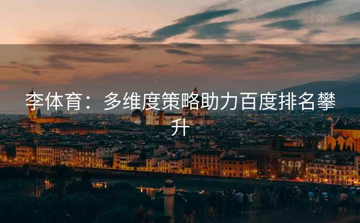 李体育：多维度策略助力百度排名攀升