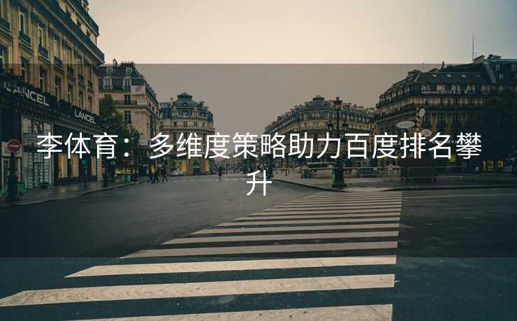 李体育：多维度策略助力百度排名攀升